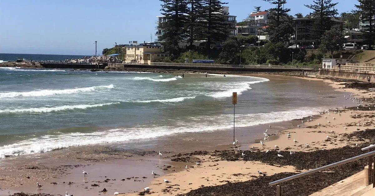 Kelp Recedes At Dee Why Following Summer Swells