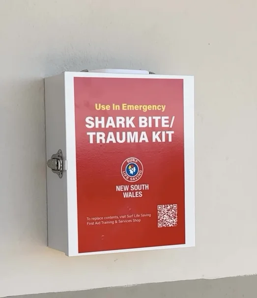 NSW beach safety