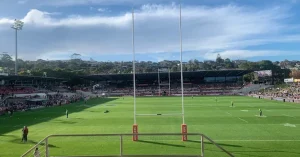 sea eagles
