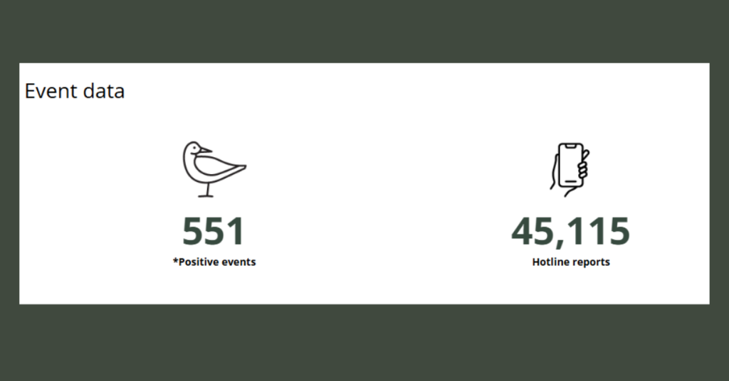 bird flu